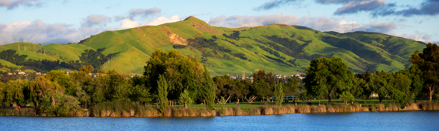 Banner image of Fremont